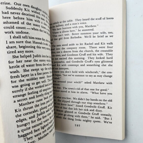 The Witch of Blackbird Pond Newbery Award Winner Paperback Book Fiction Chapter - Picture 4 of 11